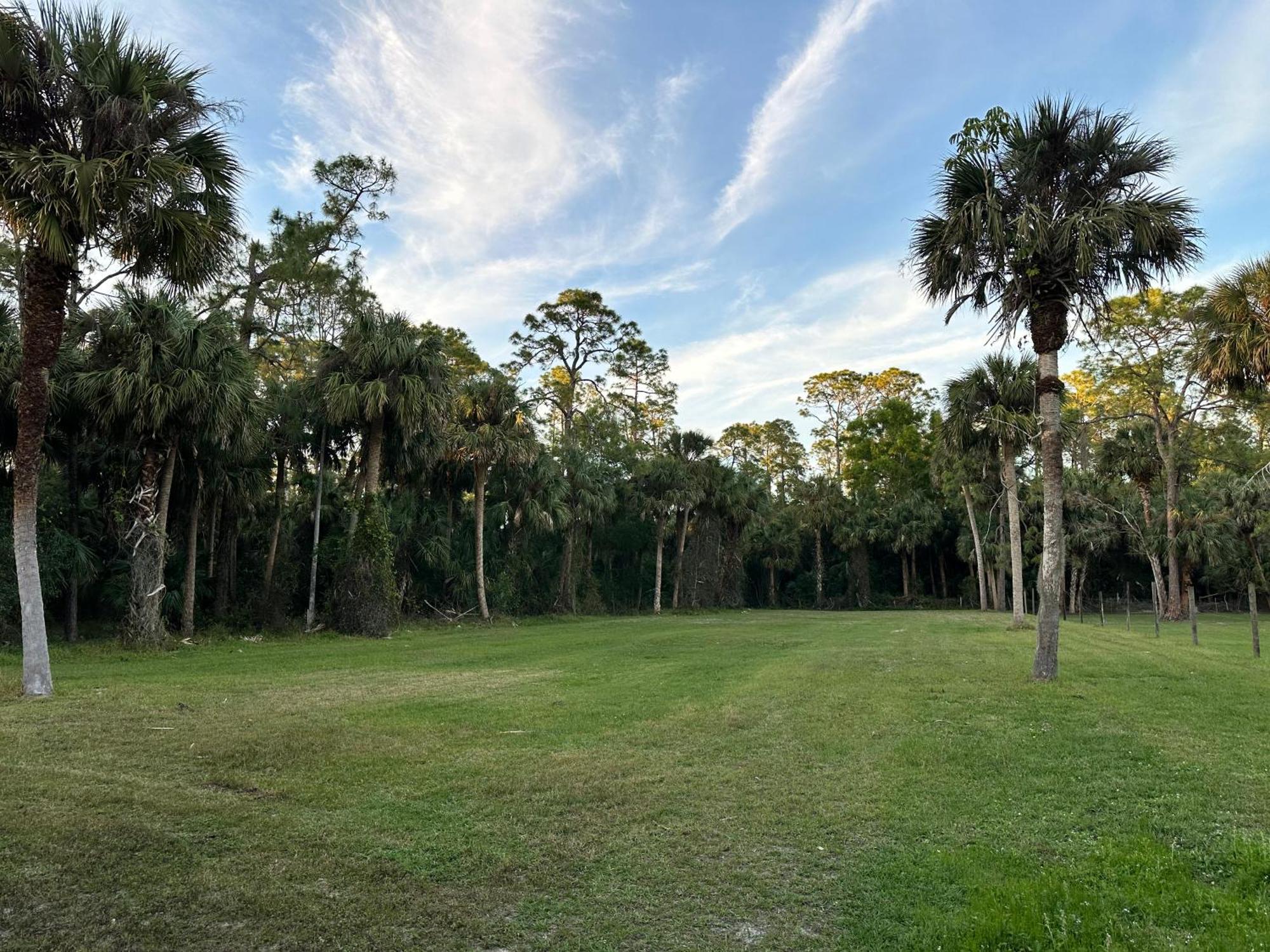Vacation Pool Home In The Woods. North North Naples 외부 사진